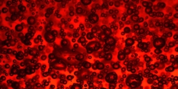 microplastiche flusso sanguigno