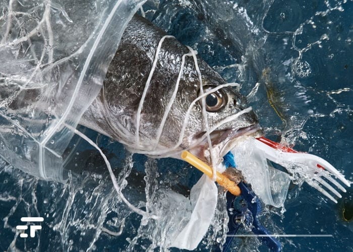 blood flow microplastics