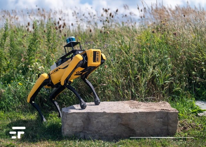 Boston Dynamics Spot
