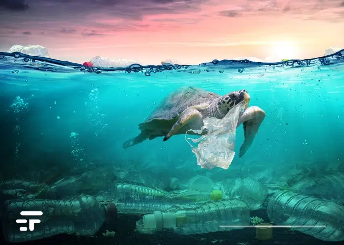 pollution plastique