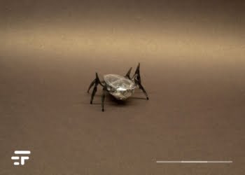 マイクロロボット昆虫