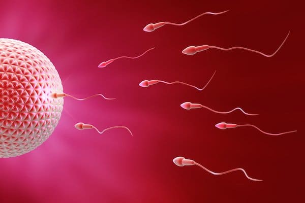 sperma artificiale
