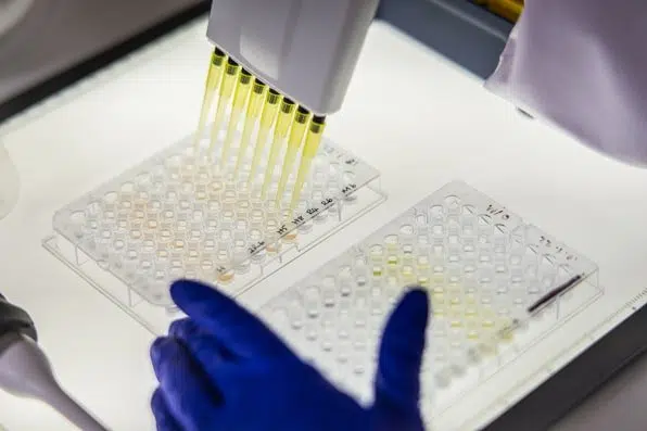 Brilliant Planet, a startup that captures CO2 by growing algae in the desert