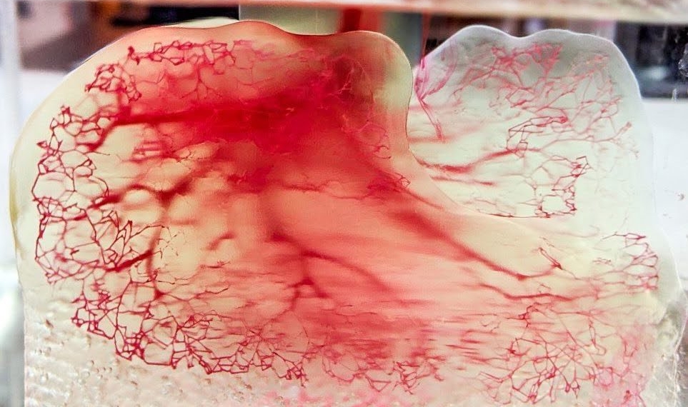 Impresión 3d de pulmones