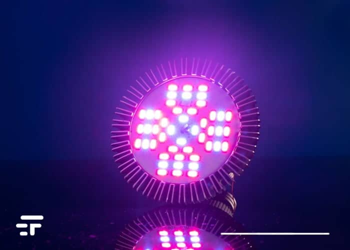 artificial photosynthesis
