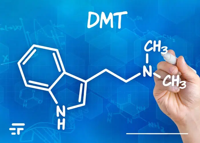 Dmt