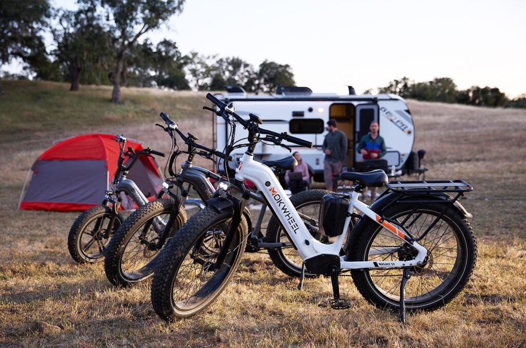 electric fatbike