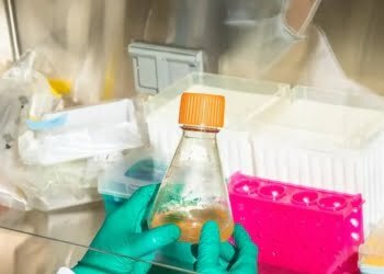 A proteína conhecida como GDF11 em um laboratório na sede da Elevian em Newton, Massachusetts. Pode ser uma ferramenta poderosa no combate a doenças relacionadas à idade, incluindo derrames.
