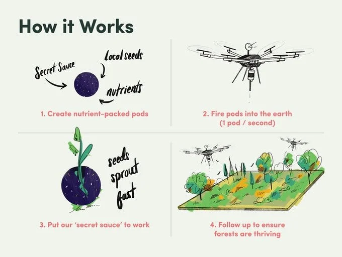 drone pianta alberi rifugiati climatici