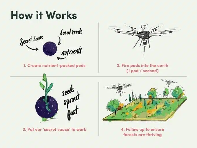 drone pianta alberi rifugiati climatici