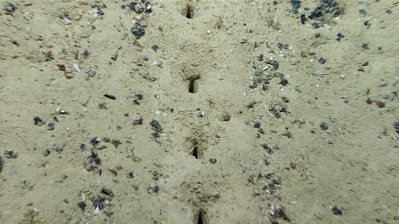 海の穴 2