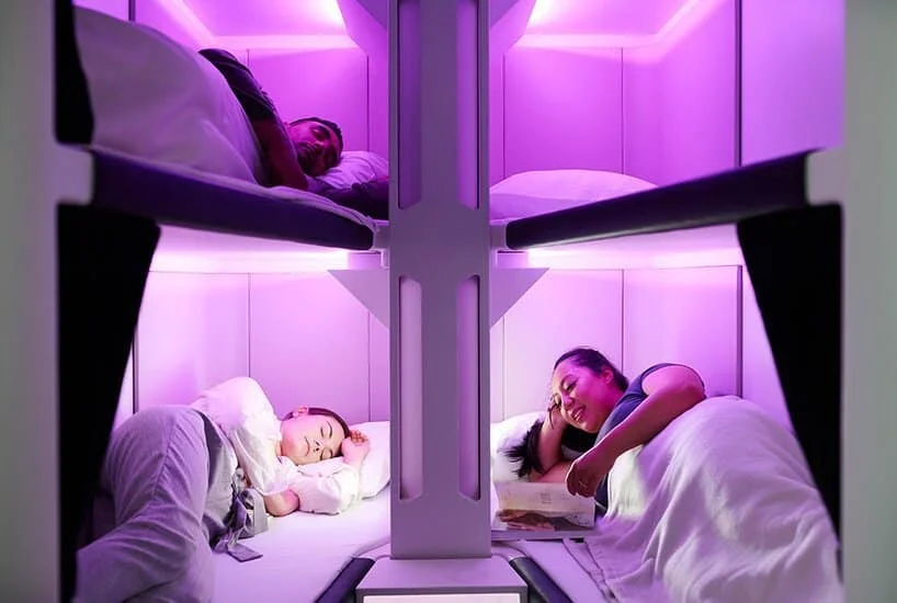 skynest 1