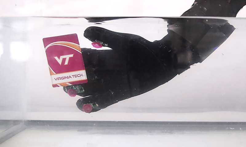 octa glove mani di piovra