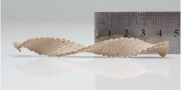 L'inchiostro per legno stampato come un rettangolo piatto è programmato per formare una forma complessa dopo l'essiccazione e la solidificazione. Credits: Doron Kam