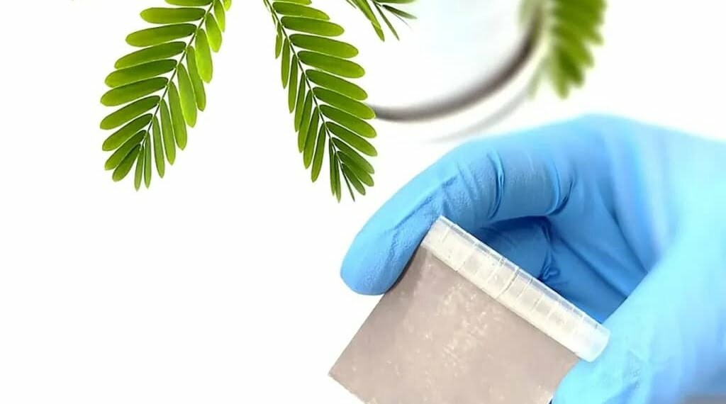 Вдохновленный листьями растения Mimosa pudica, это устройство устанавливает соответствующий режим управления температурой в зависимости от температуры окружающей среды.
