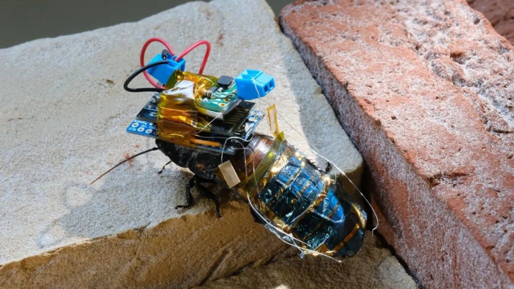 cyborg cockroach 1