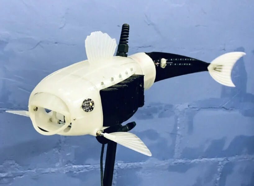 le poisson robot suce les microplastiques d