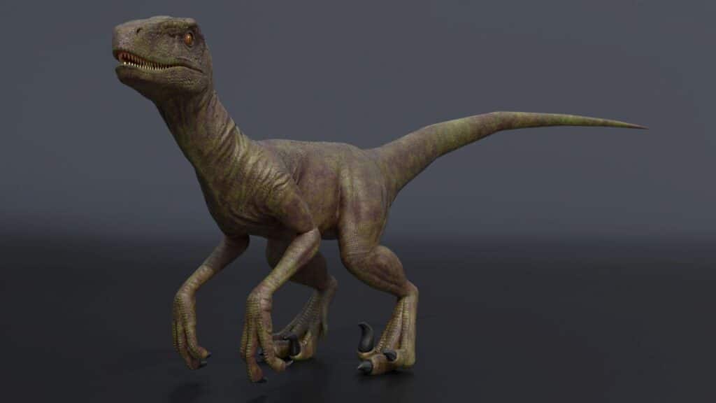 dinosauri velociraptor