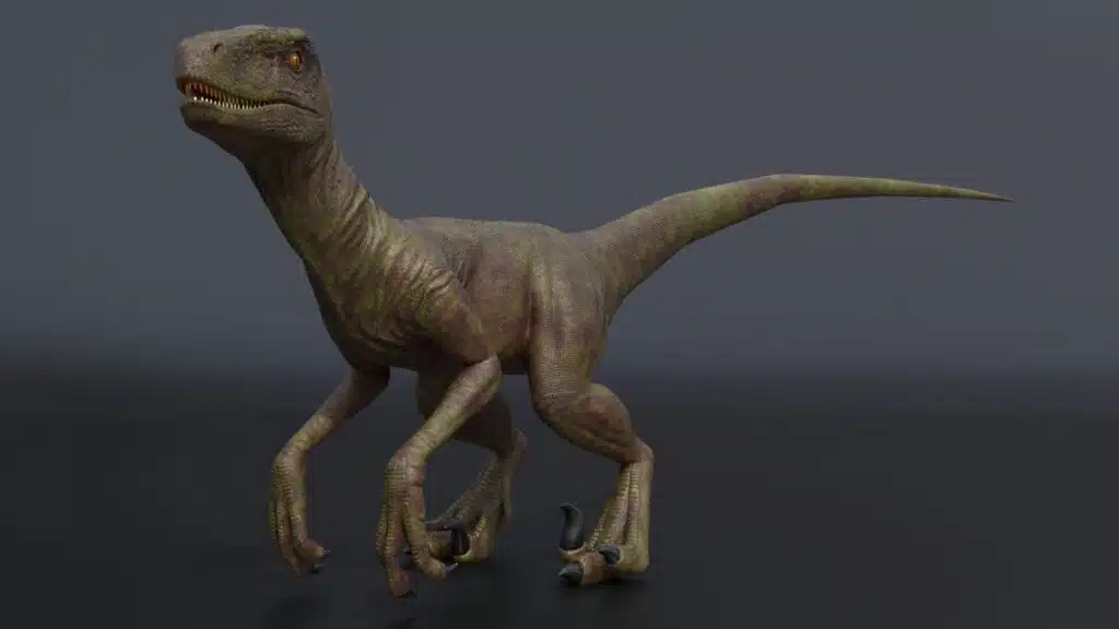 dinosauri velociraptor