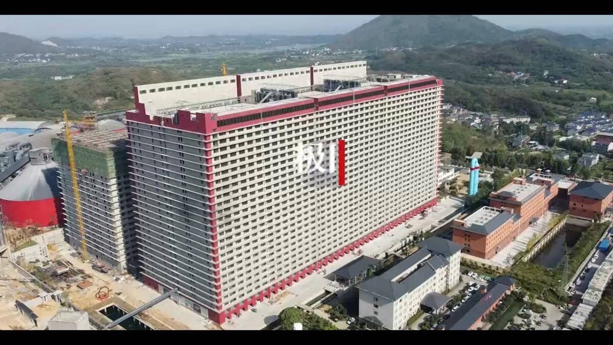 中国、年間26万頭の豚を飼育する1階建ての超高層ビル