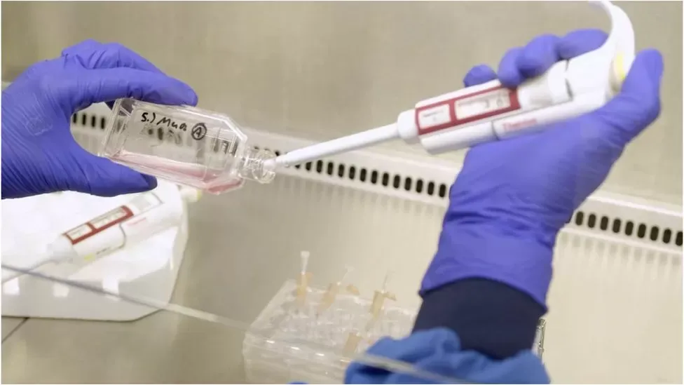 gezüchtetes Blut