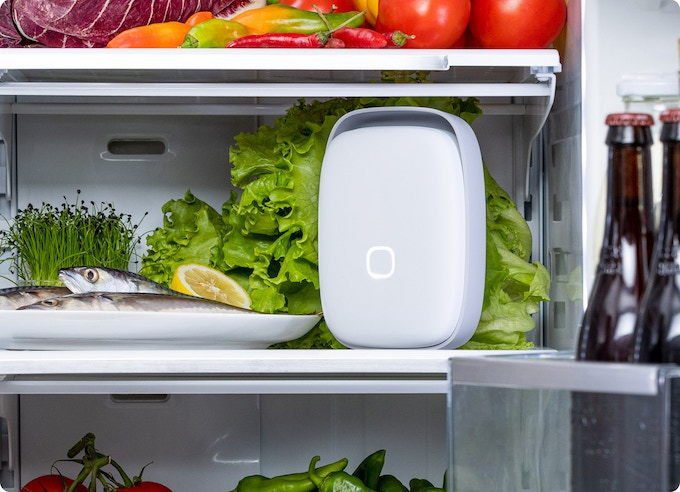 purificatore da frigo per i cibi