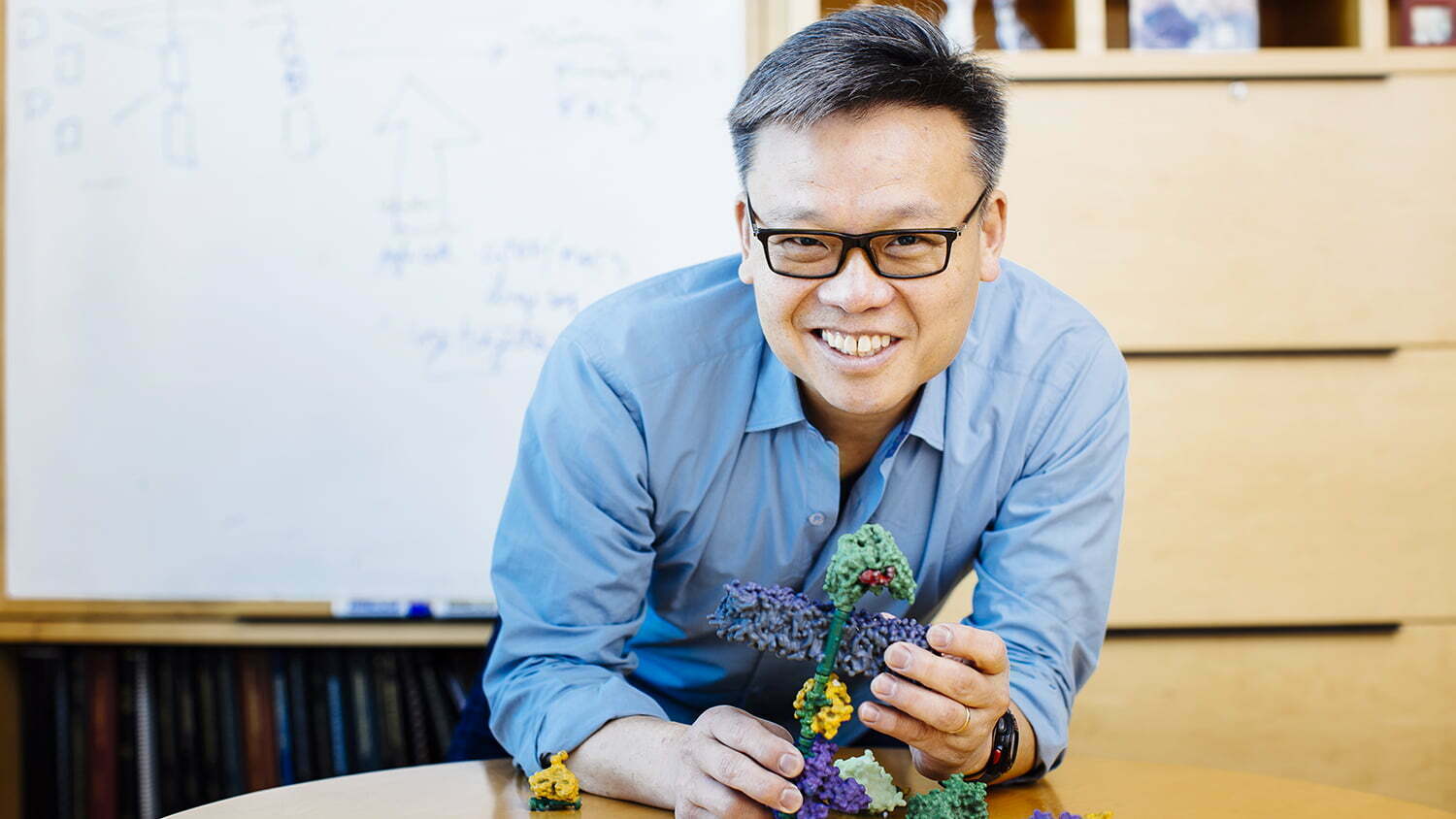 Wendell Lim holds cellular model in his office.