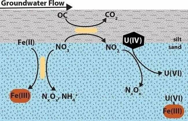 uranium fertilizers