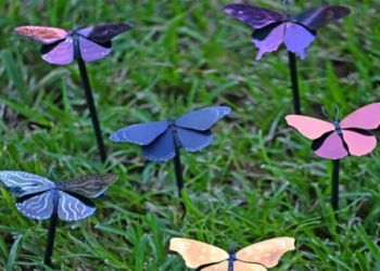 Плазмонная краска нанесла металлические крылья бабочки.