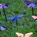 Vernice plasmonica dipinta su ali di farfalla in metallo.