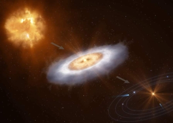 Este diagrama ilustra como uma nuvem de gás colapsa para formar uma estrela com um disco ao seu redor, a partir da qual um sistema planetário eventualmente se formará.