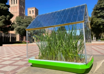One of the prototypes of the semi-transparent solar cell greenhouse used in the study