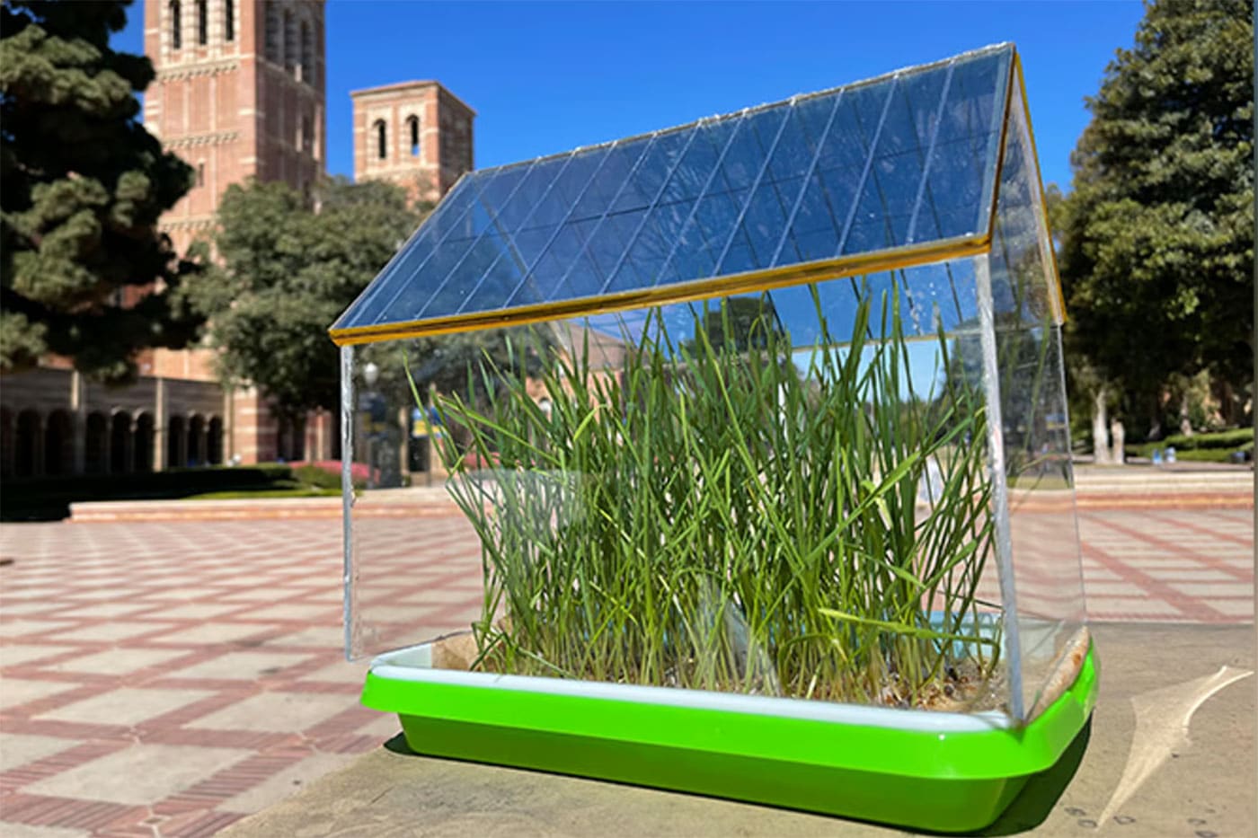 Uno dei prototipi di serra con celle solari semitrasparenti usata nello studio