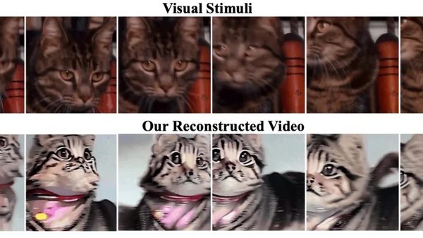 HQ-Videos