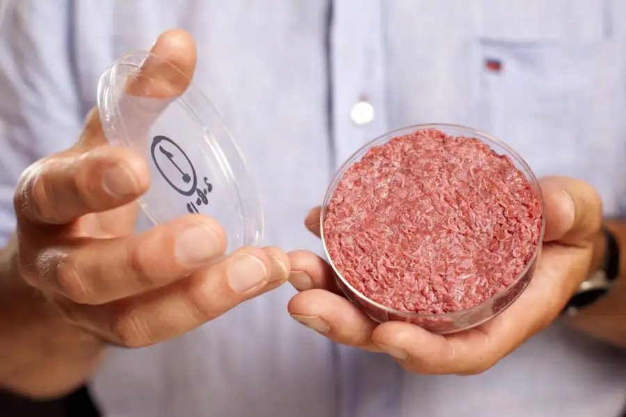 cultured meat