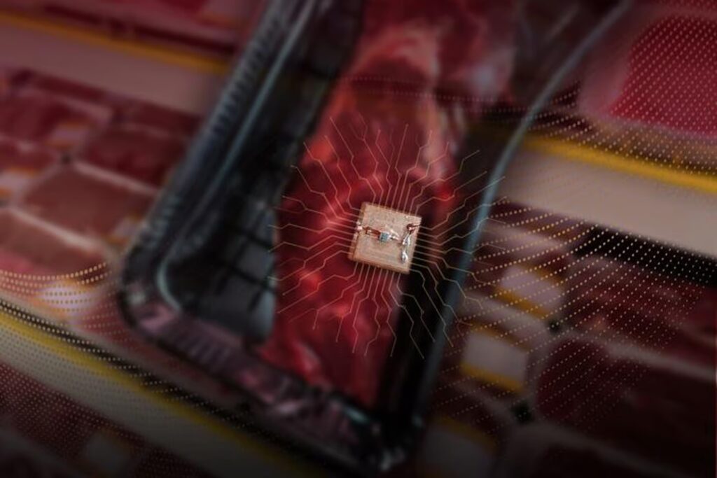 A sensor against expired foods