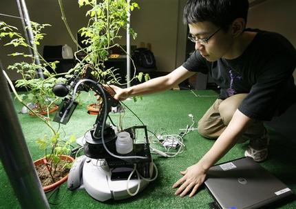 In this March 18, 2009 photo, Massachusetts Institute of Technology student Huan Liu of Shanghai, China, positions a robot gardener near a tomato plant while demonstrating its capabilities in the Artificial Intelligence Laboratory on the schools campus in Cambridge, Mass. (AP Photo/Steven Senne)