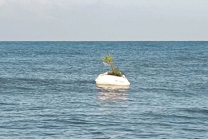 Islet