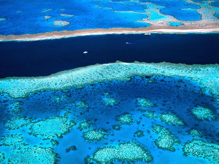 La grande barrière de corail d'Australie