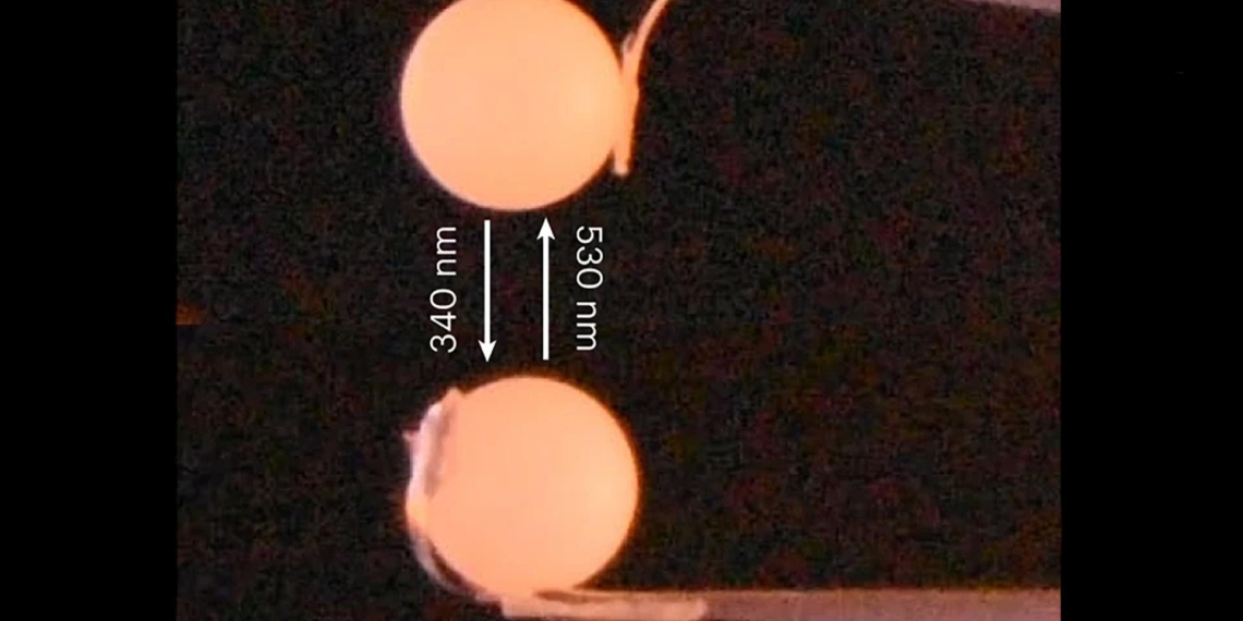Nanocrystals in action: In this photo, a nanocrystal lifts a 10.000 mass larger nylon ball.