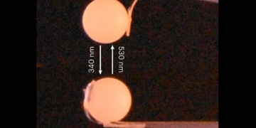 I nanocristalli in azione: in questa foto, un nanocristallo solleva una pallina di nylon dalla massa 10.000 maggiore.