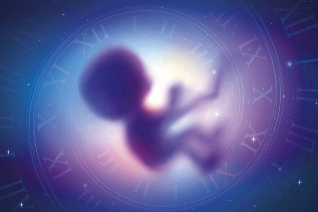 In vitro fertilization