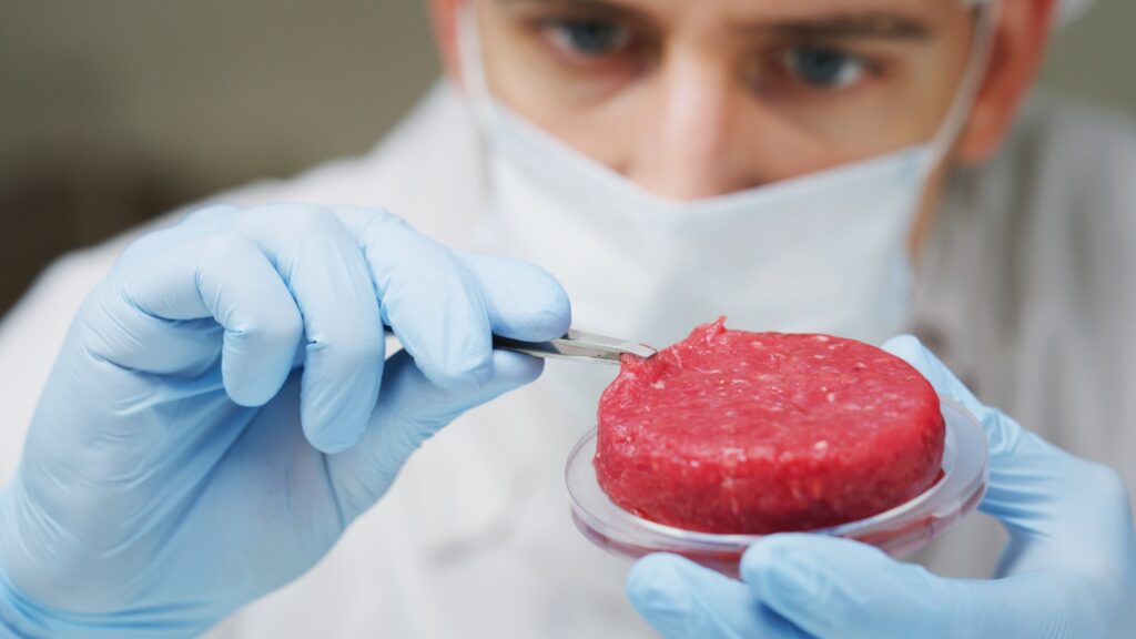 carne coltivata in laboratorio