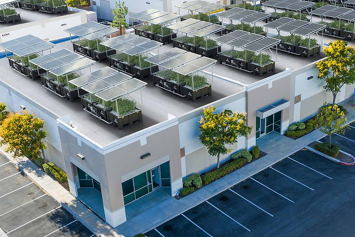 innovation toit agrivoltaique 001