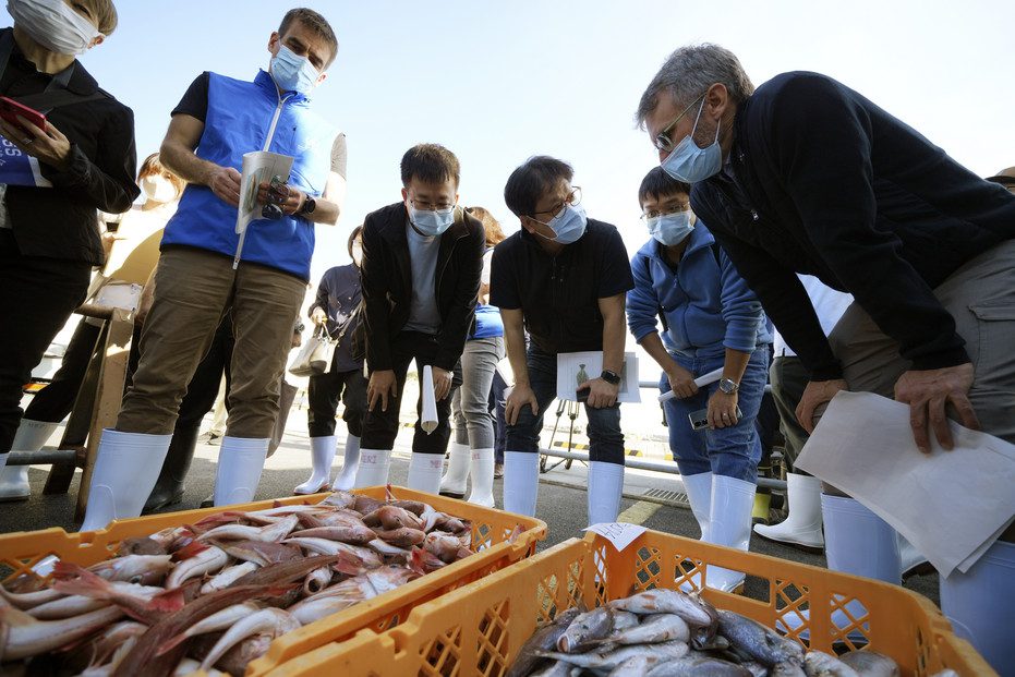 Japão nuclear fukushima iaea 65599 1