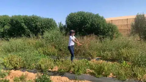 Maroc