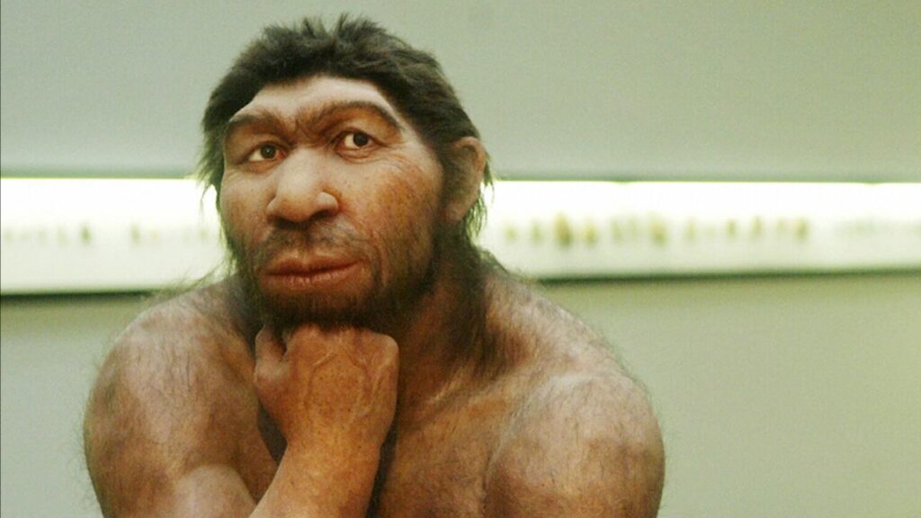 Denisovan archeologia