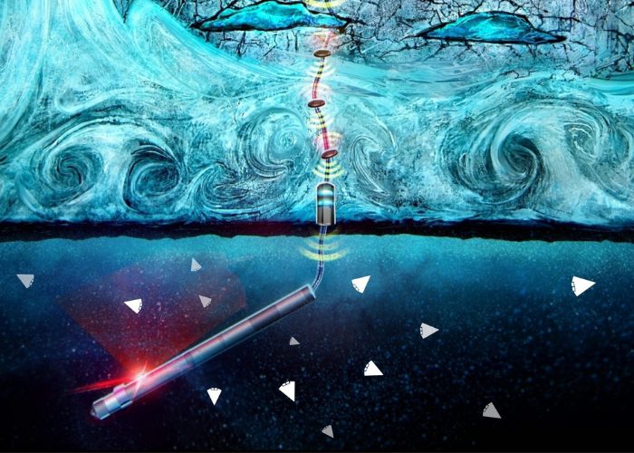 Atomsonde