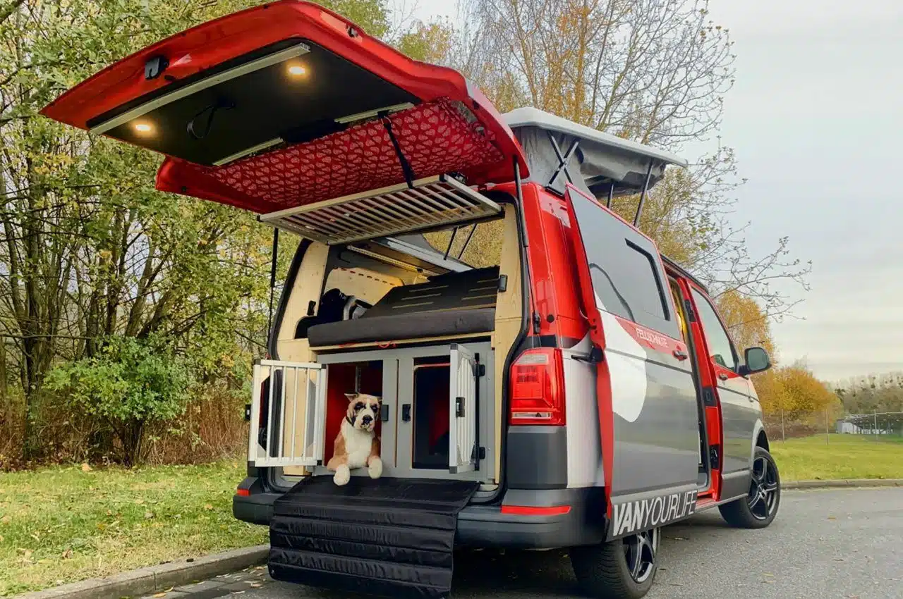 Flowcamper Fellschnute dog campervan 9