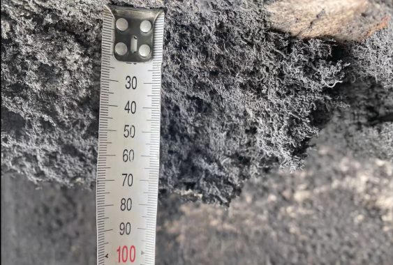 Vernice antifuoco